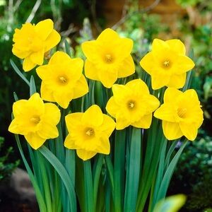 RESERVED! Do Not Buy! Spell Rebel Spirit Gown Daffodil